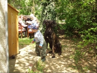 P5010028