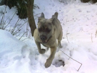 20100221116
