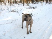 201002214