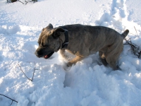 201002226